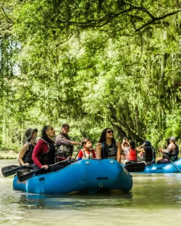 Safari Float