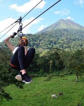 Canopy Tour